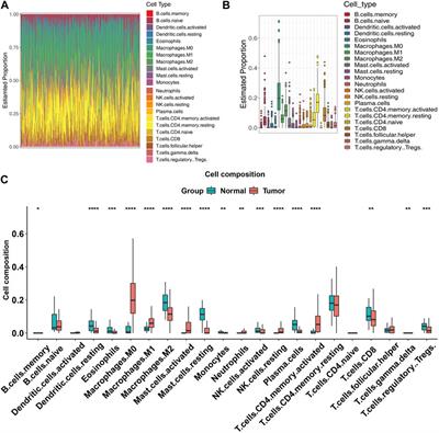 NR4A1 as a potential therapeutic target in colon adenocarcinoma: a computational analysis of immune infiltration and drug response